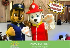 Paw Patrol on The Farm!
