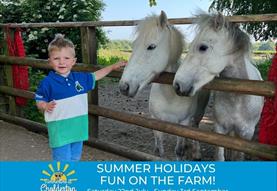 Summer Holidays Fun on the Farm!