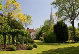 Garden with tree and Cathedral spire in background