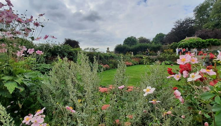 Open Garden for Salisbury Hospice Charity