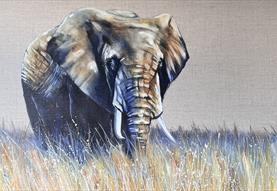 'Safari' by Louise Luton