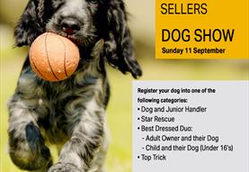 Salisbury Street Sellers - Dog Lovers Sunday!