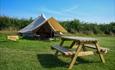 Marshwood Farm Camping - picnic table