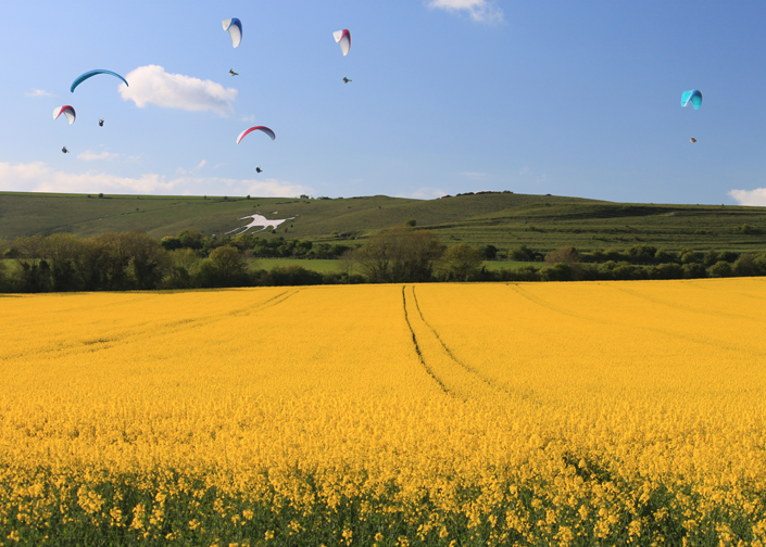 Paragliders above the white horse