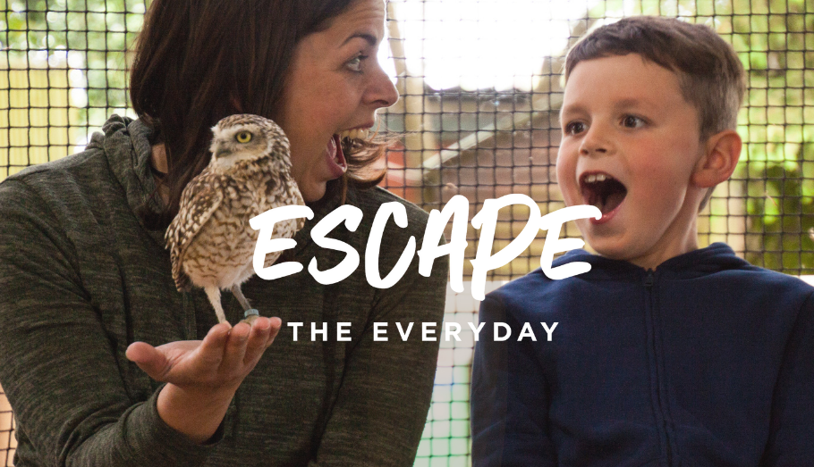 Mother and son with an owl