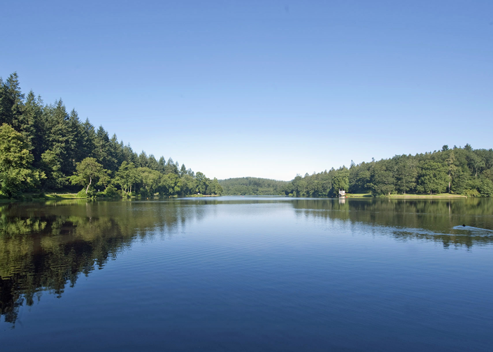 Shearwater lake near Warminster