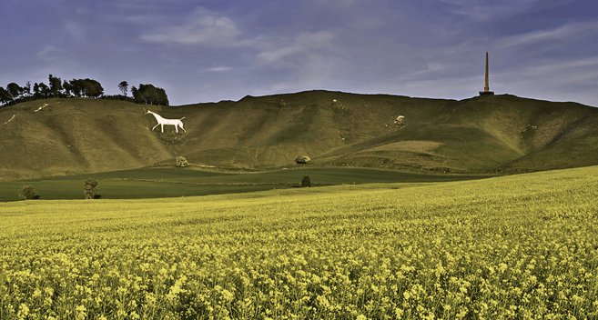 Cherhill White Horse and Monument Wiltshire