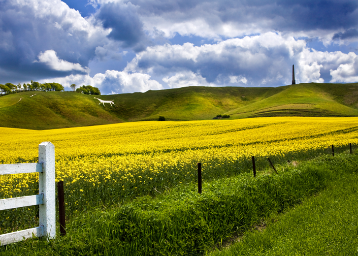 Cherhill White Horse in Wiltshire