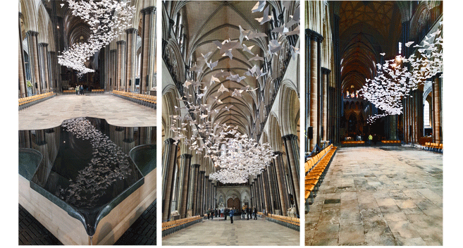 Les Colombes Exhibition Salisbury Cathedral Interior
