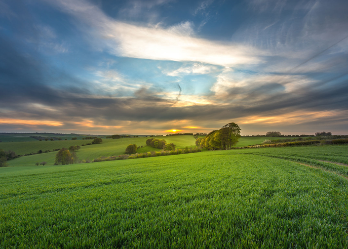 Wiltshire landscape