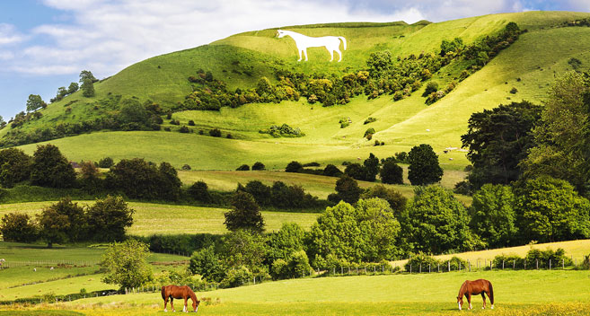 Wiltshire White Horses