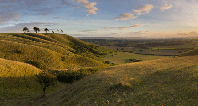 Roundway Down