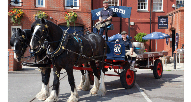 Wadworth Brewery Horses