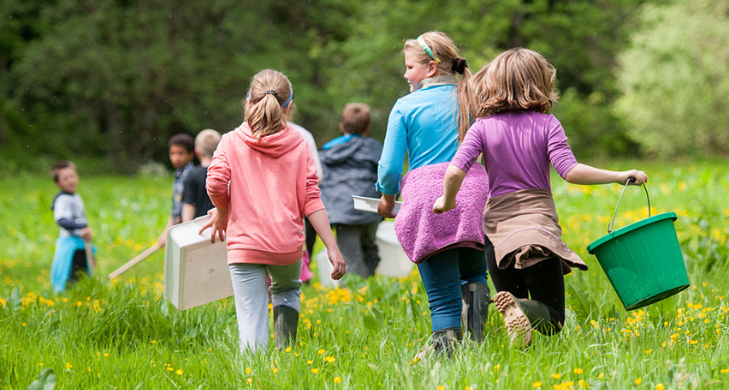 30 Days Wild, Wiltshire Wildlife Trust