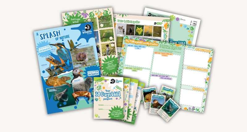 Wiltshire Wildlife Trust Pack