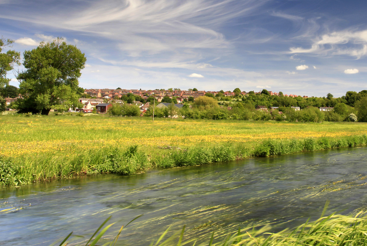 Houses by the River Avon