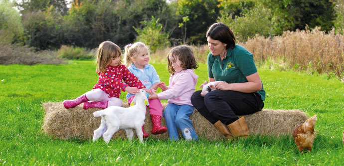 Animal handling at Roves Farm