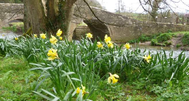 The bridge at Iford Manor