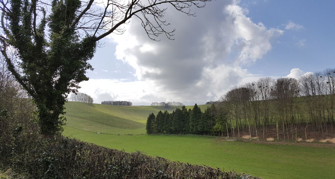 Countryside near Broad Chalke