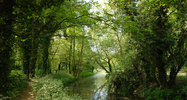 Castlefields, Calne