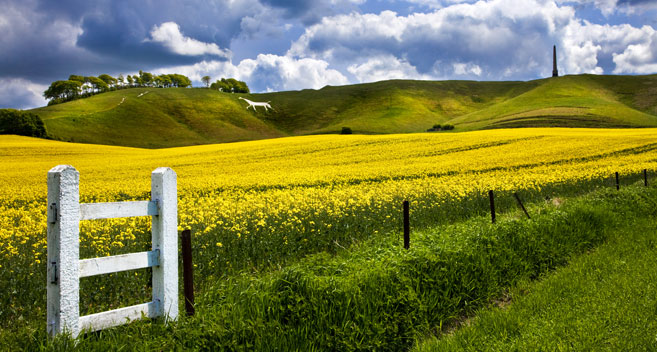 Cherhill White Horse