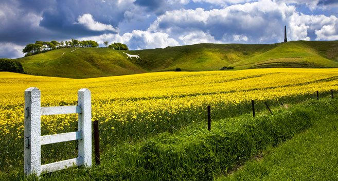 Cherhill White Horse, Wiltshire