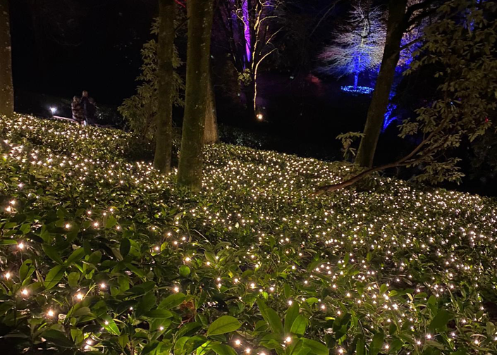 A carpet of fairy lights at Christmas at Stourhead