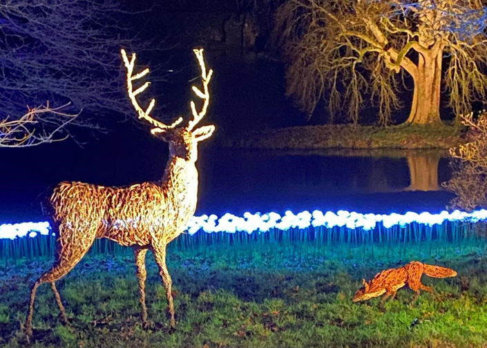 Illuminated animals on the Christmas at Stourhead lights trail