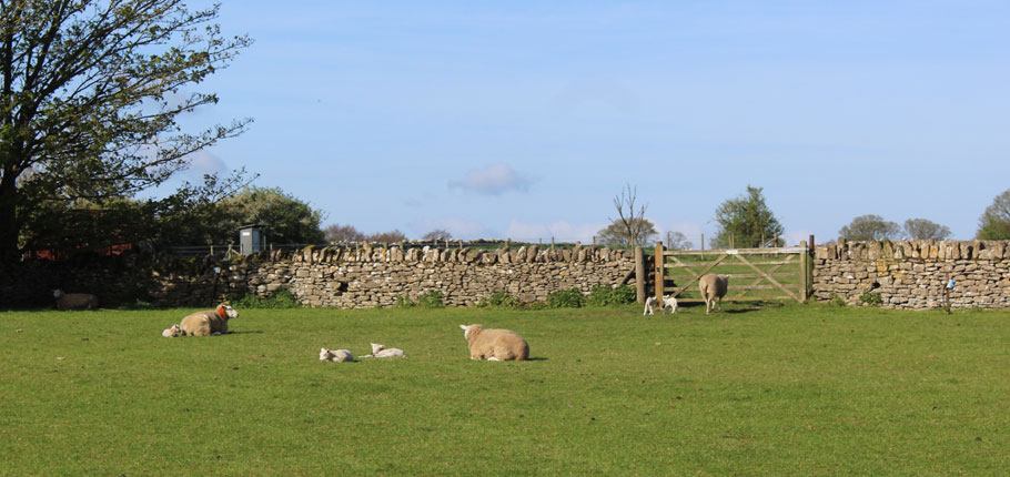 Church Farm Country Cottages