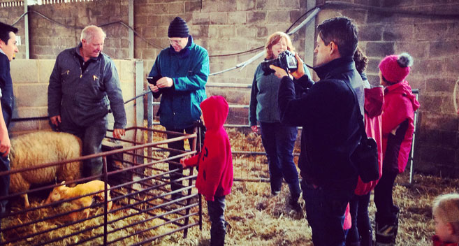 Lambing at Church Farm Country Cottages