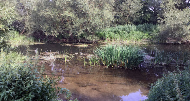 Conigre Mead, Melksham