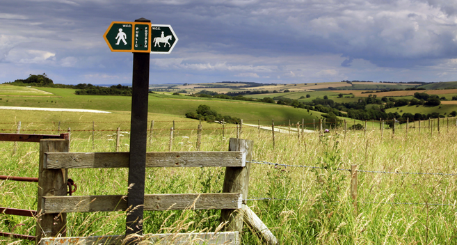 Open Wiltshire countryside