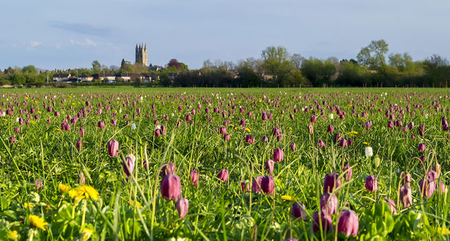 Cricklade (C) Damien Davis Photography