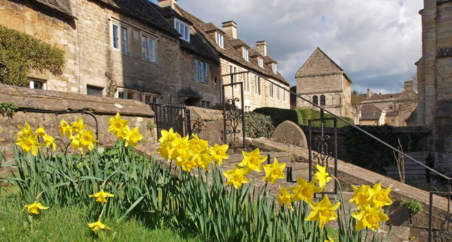 Daffodils in Bradford on Avon