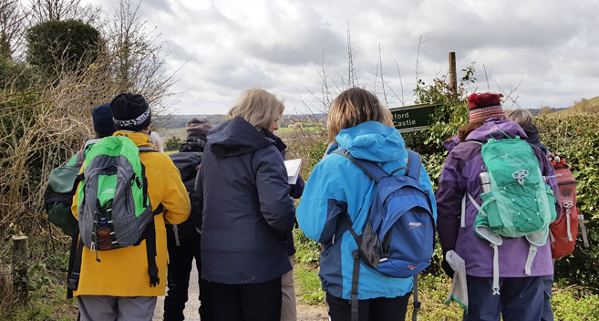 Downland Walking