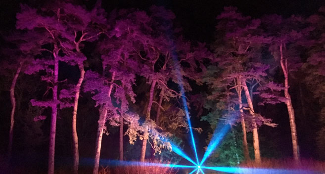 Enchanted Christmas at Westonbirt