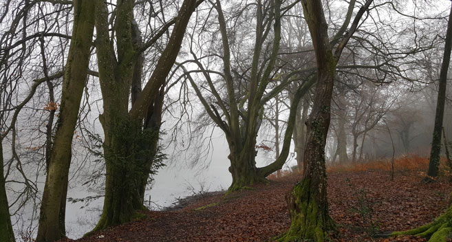 Fonthill lake