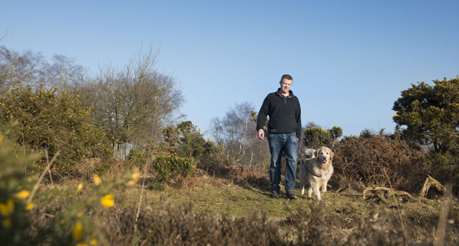 Walking in the New Forest, Wiltshire