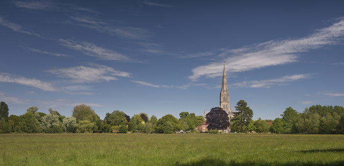 Harnham Water-meadows, Salisbury