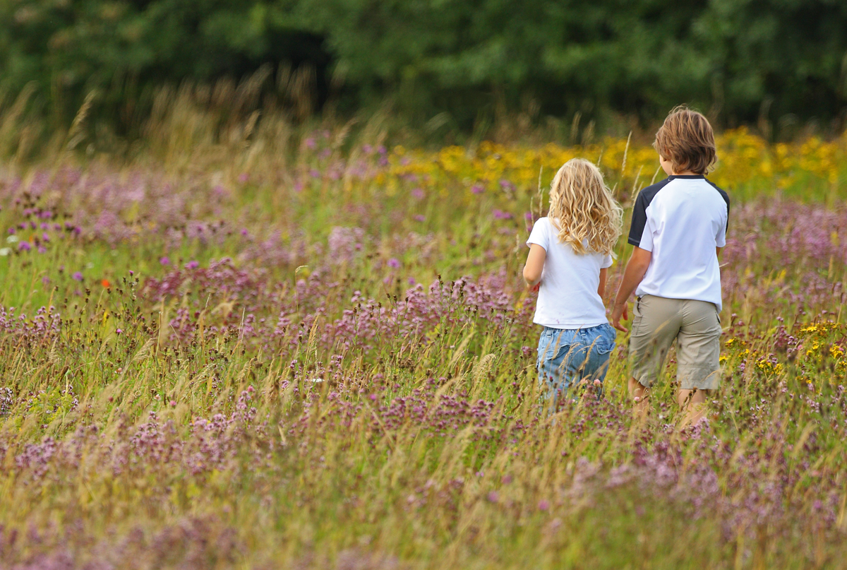 Two children walk together through grass and wildflowers