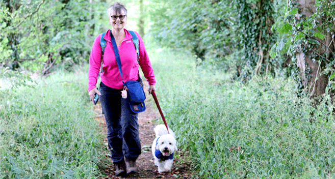 Desmond the dog Take 3! Out and About in the Stonehenge Landscape ...