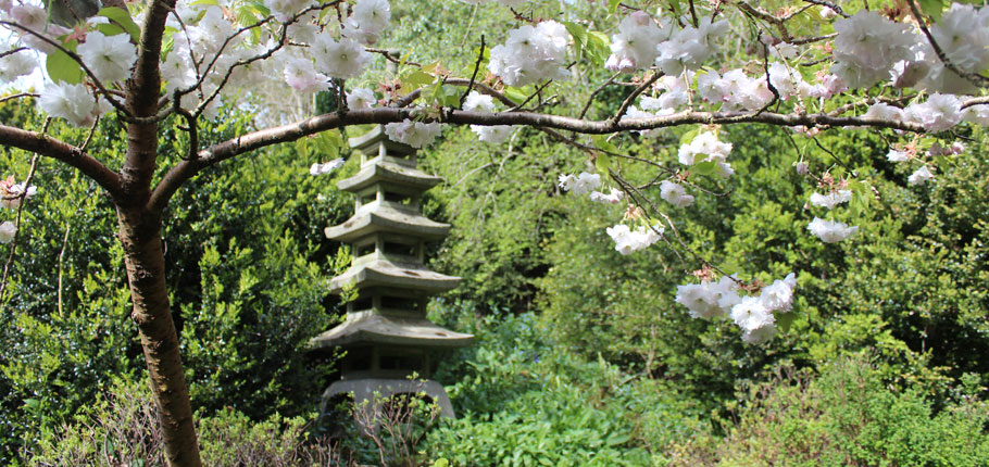 Japanese garden, Iford Manor