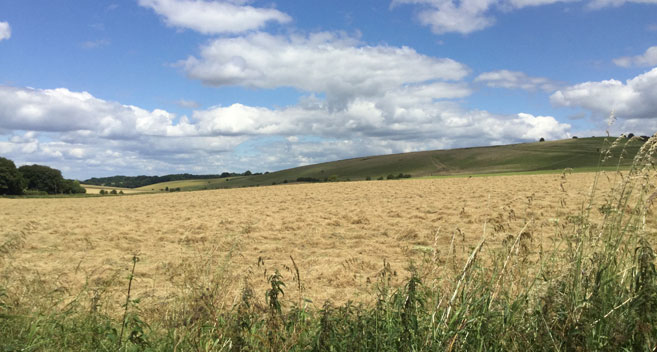 Knap Hill, Wiltshire