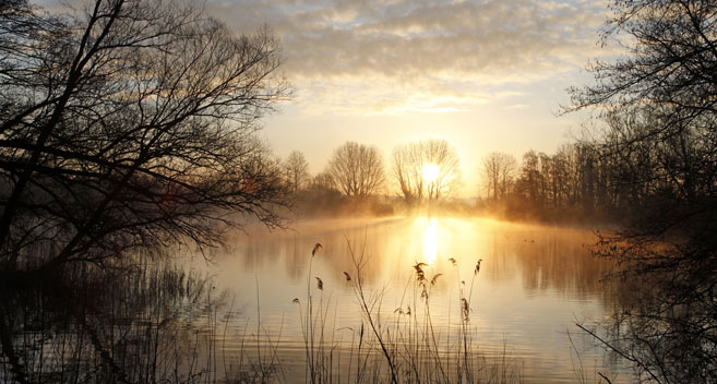 Langford Lakes