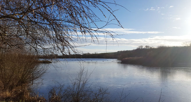 Langford Lakes