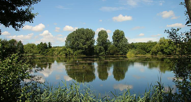 Langford Lakes nature reserve