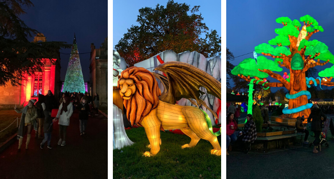 Light installations at the Longleat Festival of Light 2019