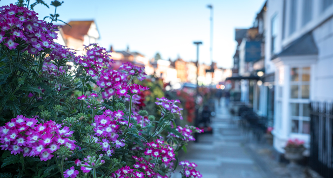 Marlborough street scene