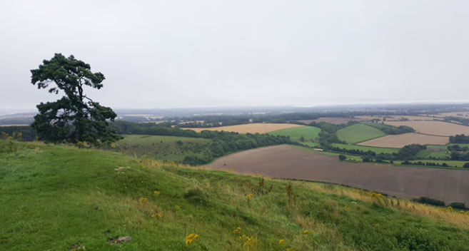 Martinsell Hill