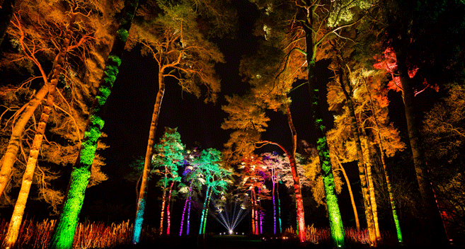 Westonbirt Enchanted Christmas Credit Paul Groom